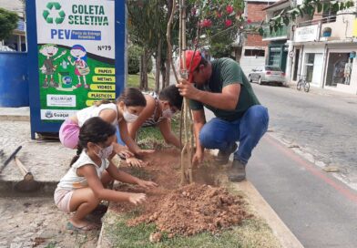 Crianças plantam resedás em avenida de Guaçuí