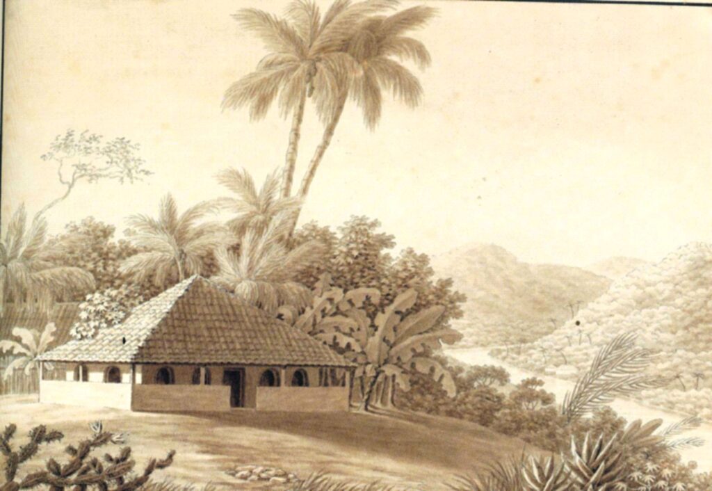 Sede de fazenda à margem do Paraíba do Sul em São Fidélis registrada por Maximiliano de Wied-Neuwied em 1815.