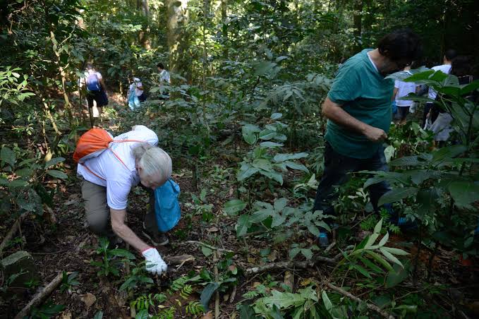 Ministério do Meio Ambiente abre inscrições para três cursos voltados para o turismo ecológico