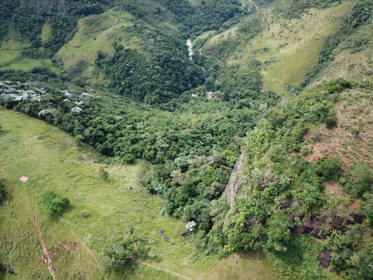 Reservas protegem a biodiversidade no Norte Fluminense