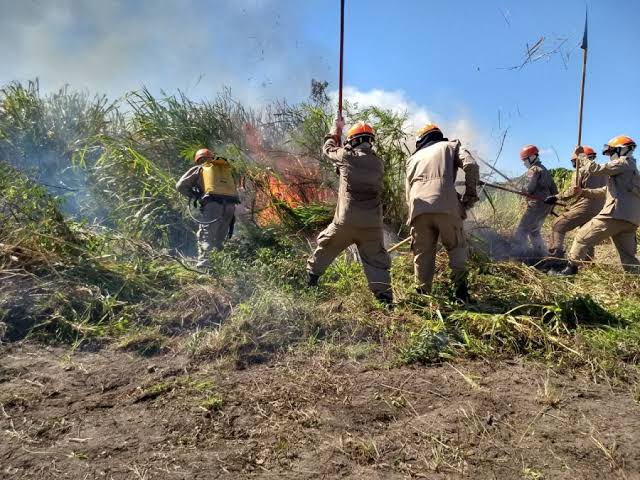 Corpo de Bombeiros alerta para incêndios florestais neste período