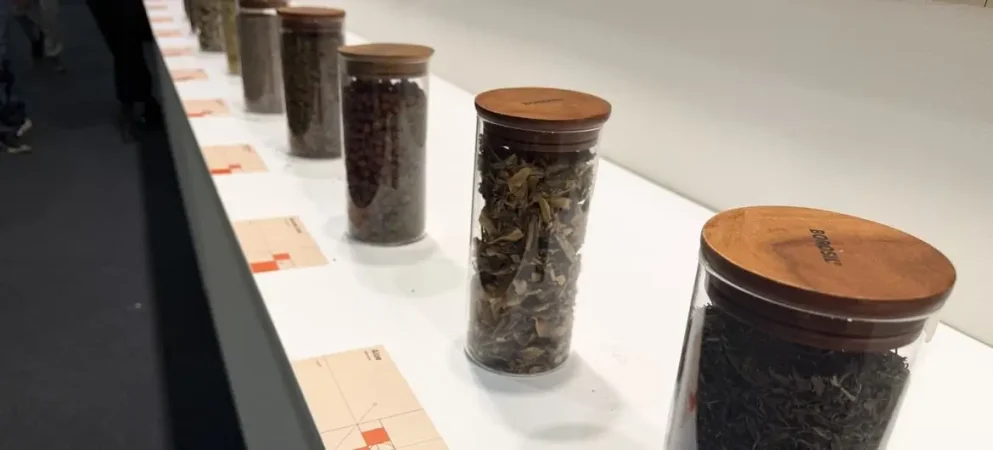 As ervas são utilizadas em muitos sistemas de medicina tradicional. / © Notícias da ONU/Anshu Sharma